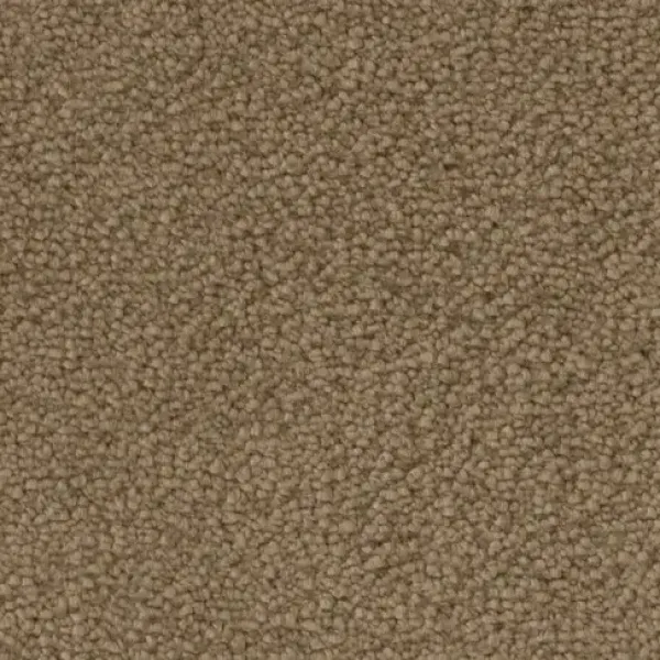 Draufsicht auf Vorwerk Mira 7H37